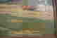 item-128823642=3