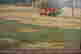 item-128823642=4