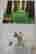 item-128823837=10