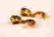 item-129289453=2