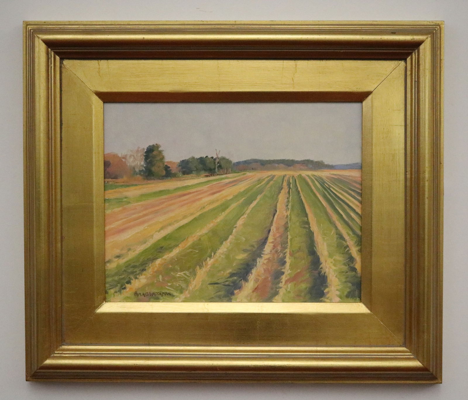 PAULA WATERMAN (Virginia-Maryland/American, born 1954). A LANDSCAPE OF FIELD BORDERING TREES, Oil on (1 of 13)