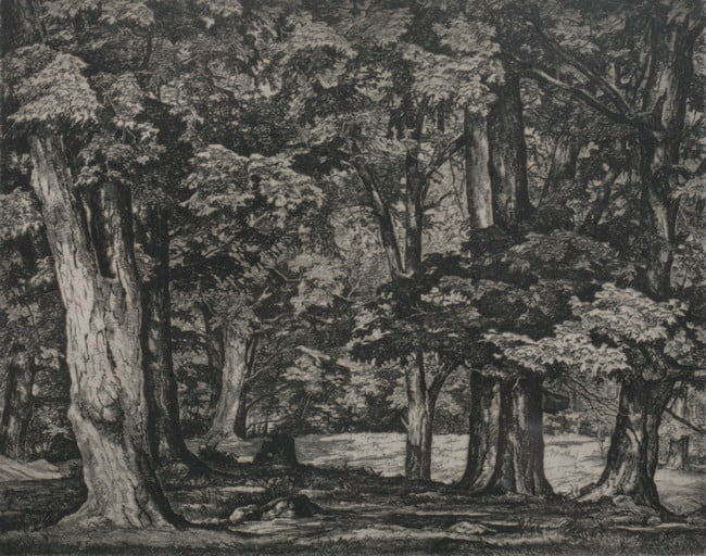 LUIGI LUCIONI (American/Italian, 1900-1988). TREE TAPESTRY, signed in pencil lower right with (1 of 2)