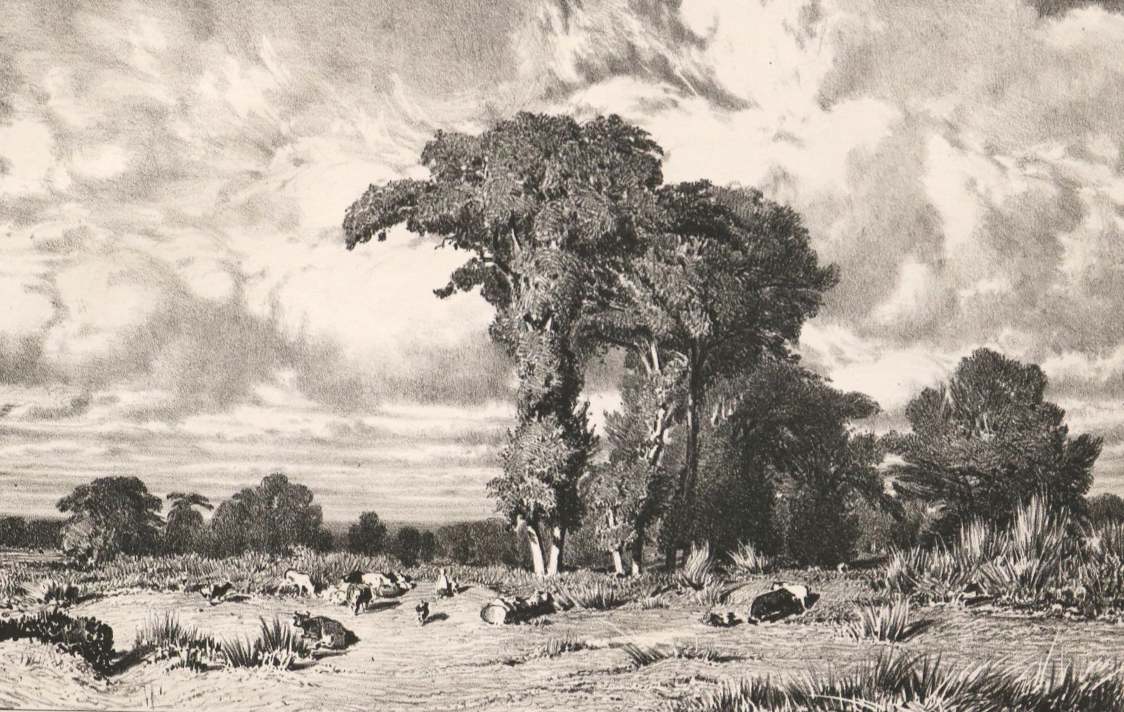 JULES DUPRE (French, 1811-1889). Pacages du Limousin, Salon de 1835 (Pastureland in the Limousin,: JULES DUPRE (French, 1811-1889). Pacages du Limousin, Salon de 1835 (Pastureland in the Limousin, Salon 1835), 1835, Crayon lithograph on wove paper. Inscriptions: Lettered with journal title above, t