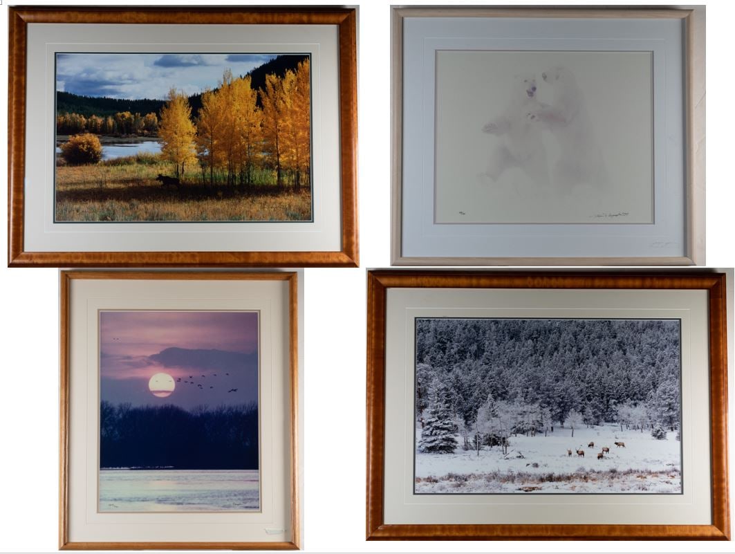 TOM MANGELSEN (American, born 1946). Four framed photographs, Four limited edition framed (1 of 16)