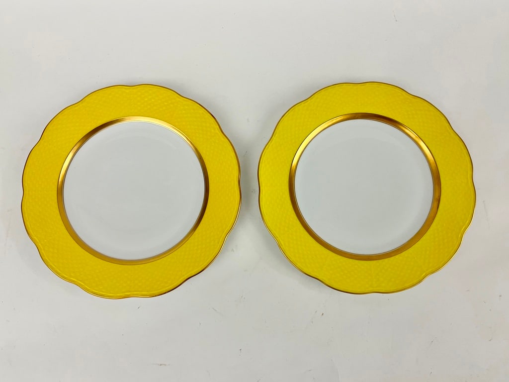 SET 12 HEREND PORCELAIN DINNER PLATES WITH YELLOW BASKETWEAVE BORDERS AND SERPENTINE RIMS, - D: 11 (1 of 5)