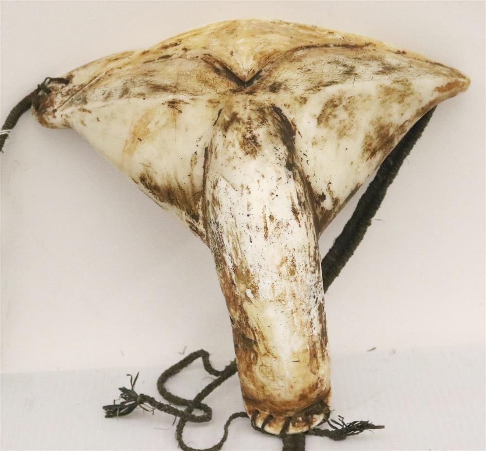 SOLOMON ISLANDS MALAITA ISLAND TRIBAL PENILE COVER, Mid 20th century. - Height: 11 inches. (1 of 9)