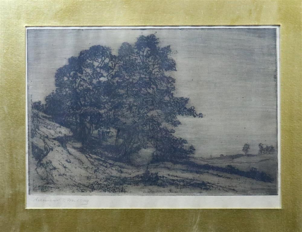AMERICAN SCHOOL (Early 20th century). Landscape with large Tree, 1907, Etching.  Indecipherable (1 of 16)