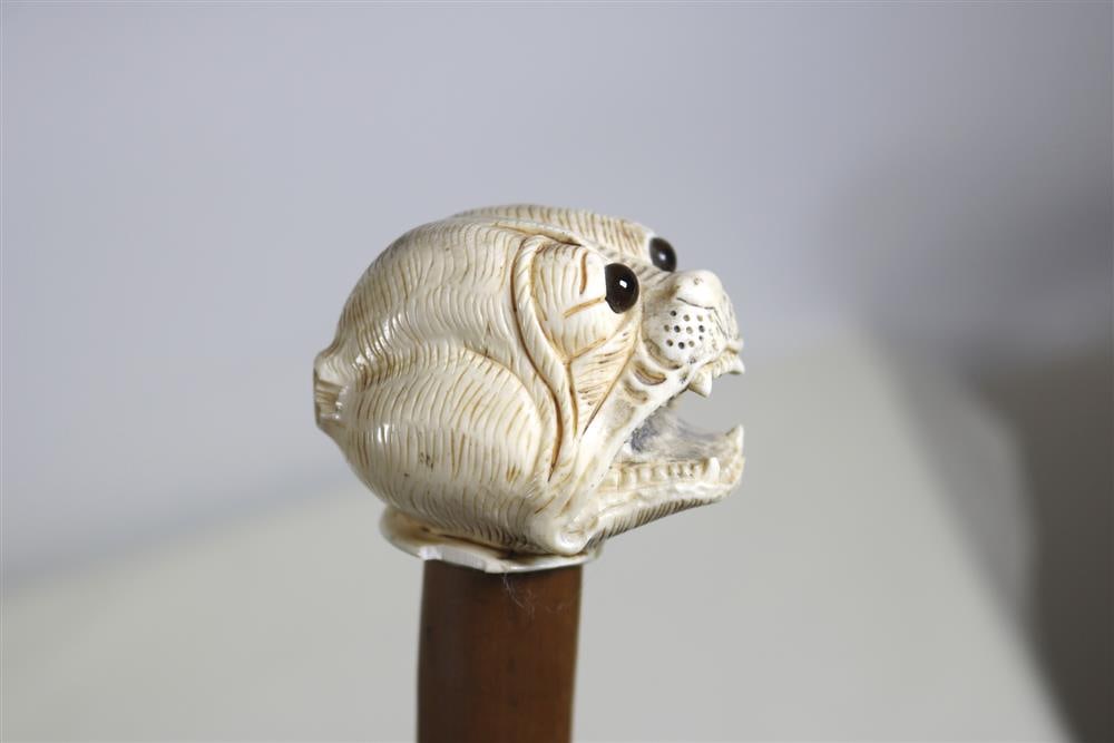 19TH CENTURY CANE WITH HANDLE CARVED AS HEAD OF BULLDOG WITH OPEN MOUTH AND BROWN GLASS EYES, - L: (1 of 20)