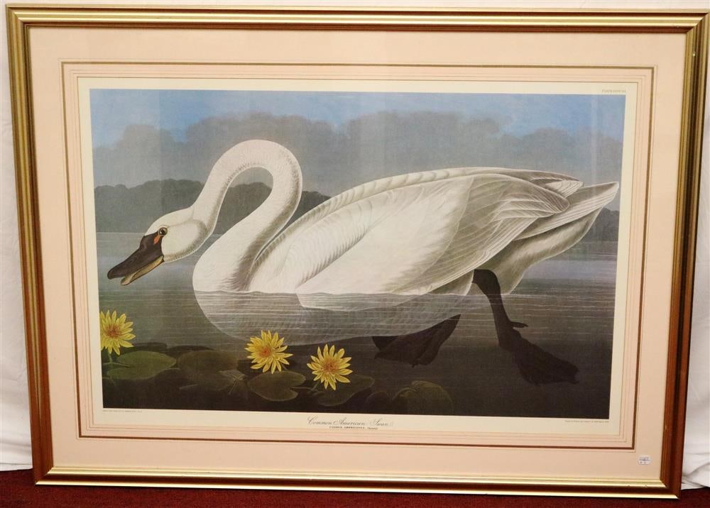 AFTER JOHN JAMES AUDUBON (French / American, 1785-1851). Common American Swan, Plate CCCCXI, (1 of 11)