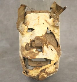 IVORY COAST BUGLE WE GUERE MASK, - Height: 8 inches.