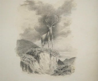AMERICAN SCHOOL (19th / 20-th century). The Stag, Pencil and ink on paper. Unsigned. Framed. Not
