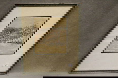 AMERICAN SCHOOL (20th century). Trees in Winter, 1976, Mixed media on paper (pencil, ink,: AMERICAN SCHOOL (20th century). Trees in Winter, 1976, Mixed media on paper (pencil, ink, watercolor). Pencil signed (possible as "N.C. Jacobs") and dated lower right hand corner. Framed. Not examined