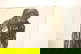 item-210598819=10