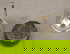 item-210651619=5