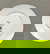 item-210731790=2