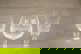 item-210731807=1