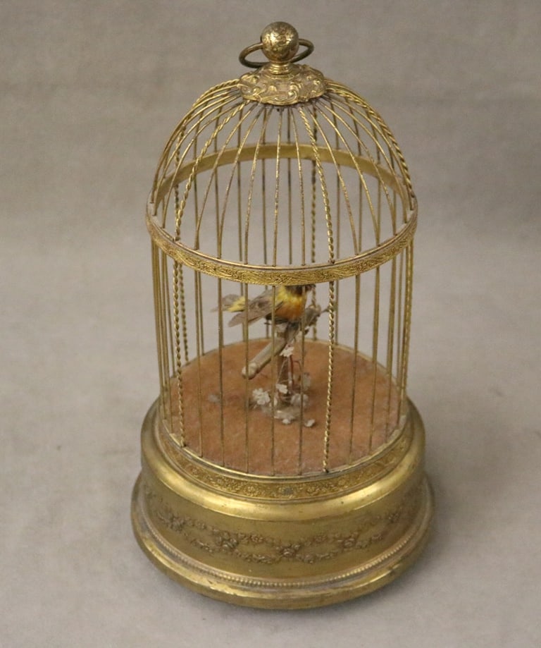 TWEETING BIRD AUTOMATON MUSIC BOX, late 19th -early 20th century. - H: 12 in. (1 of 2)