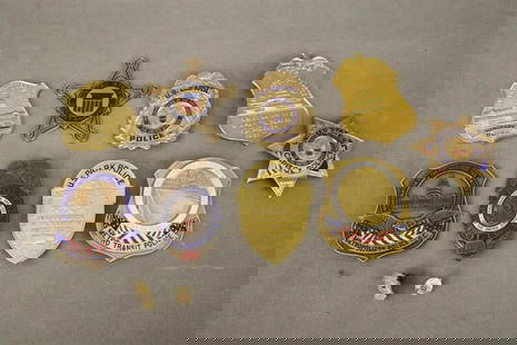 NINE ASSORTED WASHINGTON, DC, POLICE FORCE BADGES FOR VARIOUS INAUGURATIONS,: NINE ASSORTED WASHINGTON, DC, POLICE FORCE BADGES FOR VARIOUS INAUGURATIONS.  Including Park Police, Capitol Police, United States Secret Service. Inauguations include 1981, 1985, and 1993. In lot wit