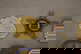 item-210771622=2