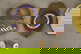 item-210771622=5
