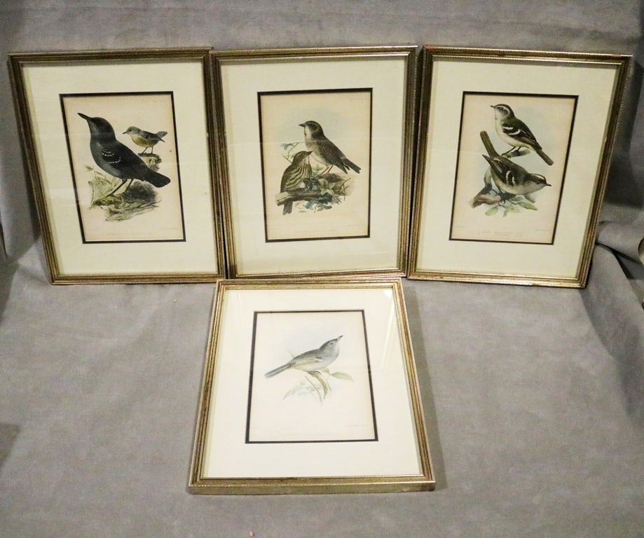 SET OF FOUR 19TH CENTURY ORNITHOLOGICAL PRINTS, - Sight: 6 x 9 inches; frame: 10.5 x 13 inches (1 of 20)