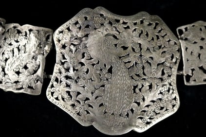 SOUTH ASIAN TRIBAL BELT,