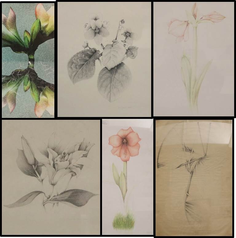 NEENA F. BIRCH (American, 1942-2012; active Alaska and Maryland). SIX WORKS DEPICTING FLOWERS,: NEENA F. BIRCH (American, 1942-2012; active Alaska and Maryland). SIX WORKS DEPICTING FLOWERS, Pencil drawings and prints - Framed