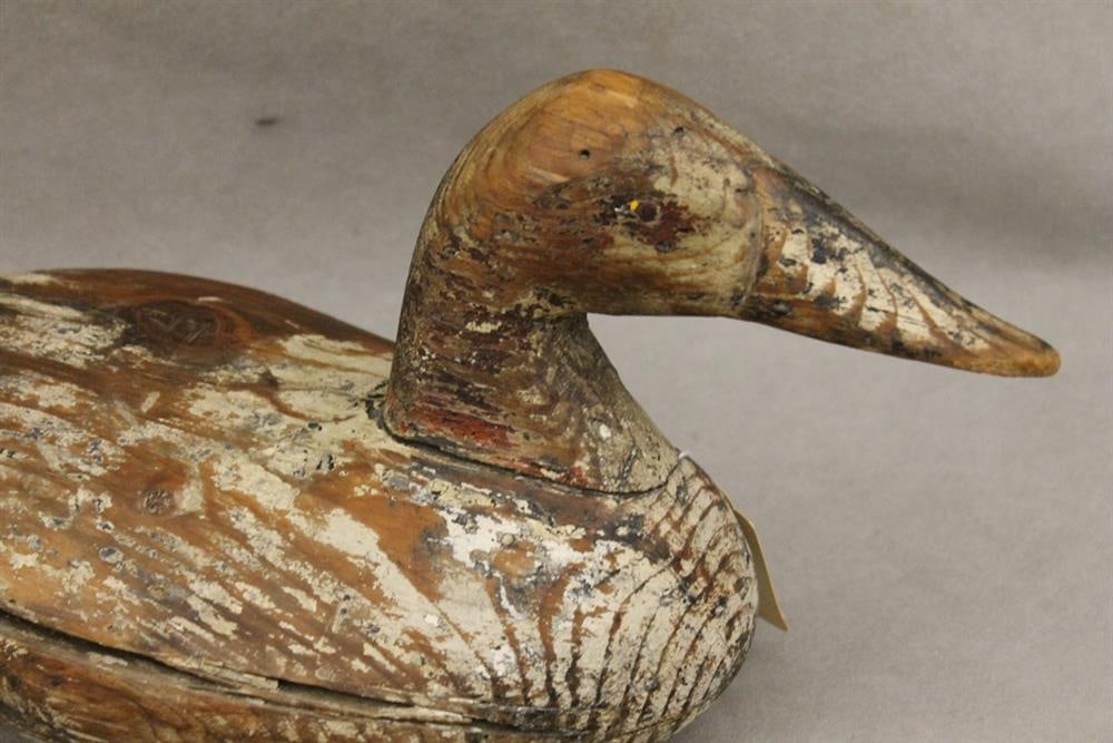 STANLEY EVANS (HAVRE DE GRACE) CARVED AND PAINTED WOODEN DUCK DECOY. circa 1900-20. - L: 16 1/2 in. (1 of 8)