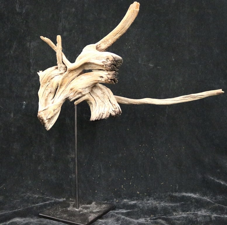 AMERICAN DRIFTWOOD SCULPTURE. - Height: (including base): 15 inches.: AMERICAN DRIFTWOOD SCULPTURE. Naturally weathered driftwood mounted on stand - Height: (including base): 15 inches.