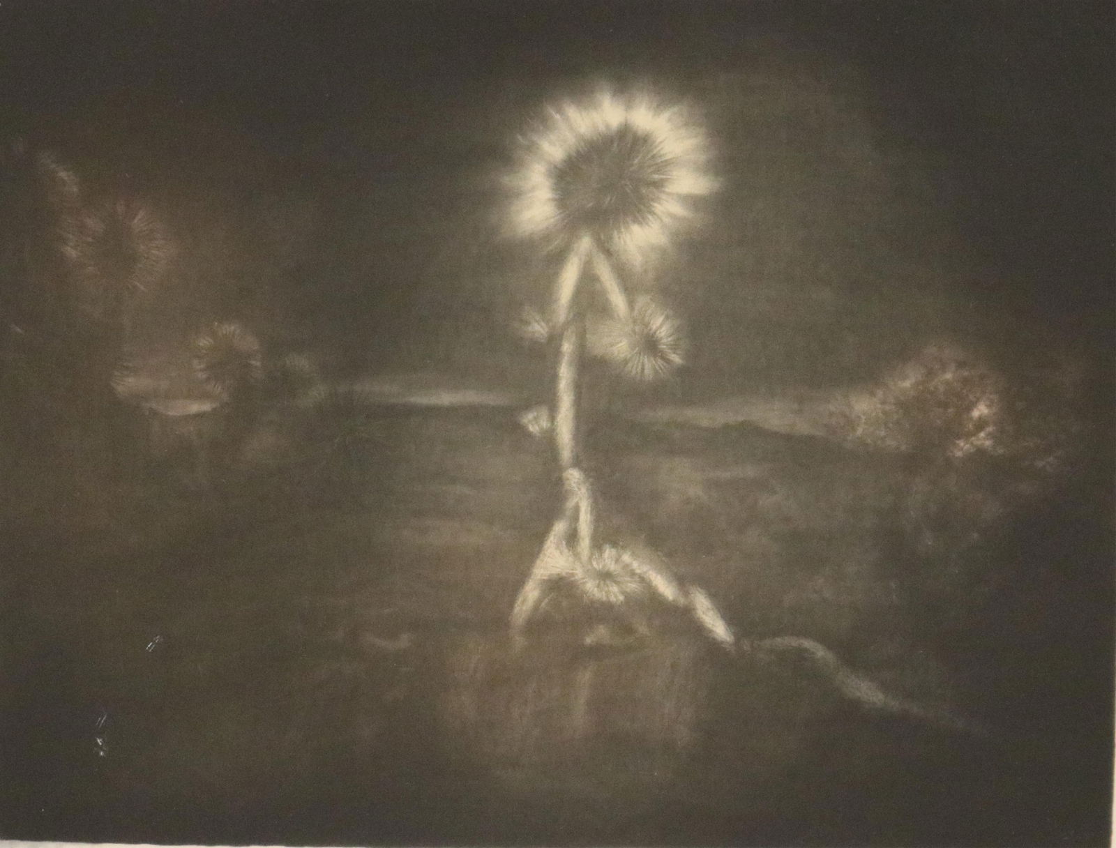 Frank Martin, American 1942-1994, Desert Flora, 1992, Sight (as matted) 6 x 7.5 inches; frame: 12.5 (1 of 9)