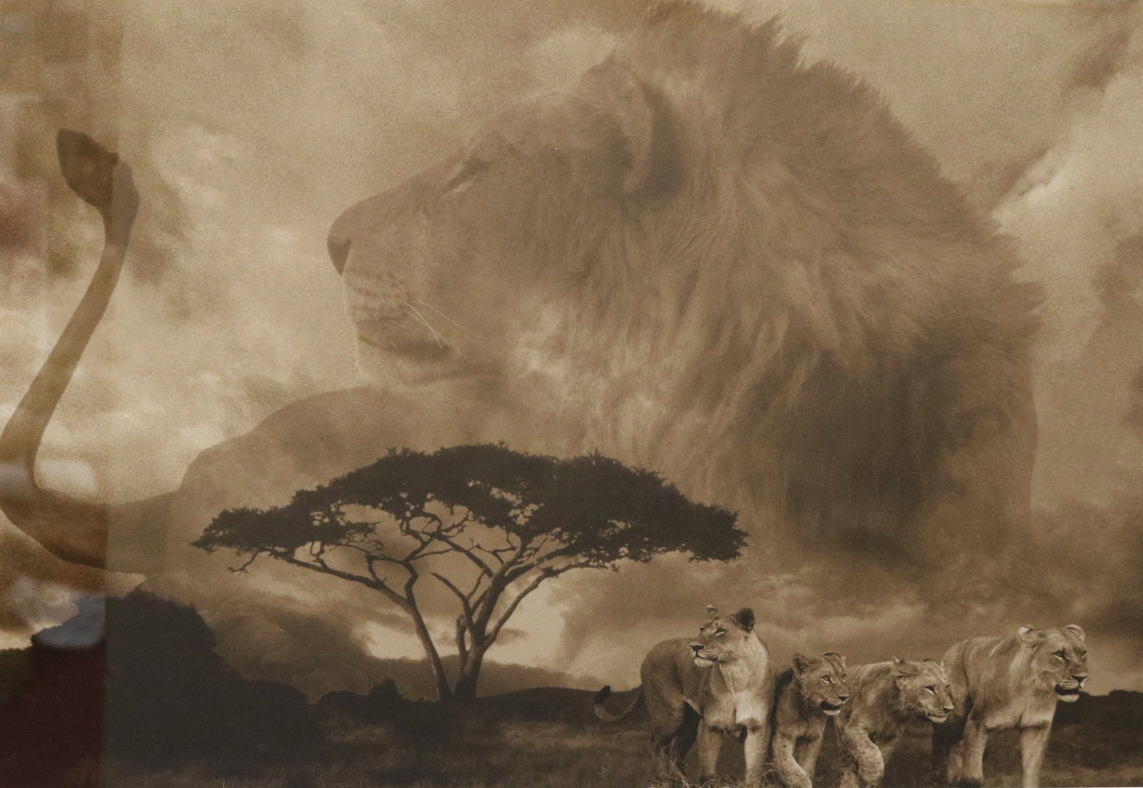 ELIZABETH HENRY, (American born 1935). Savannah Majesty, 13 x 11 inches; frame: 22 x 18 inches: ELIZABETH HENRYAmerican, born 1935Savannah MajestyLimited edition sepia-toned, mixed-media composition numbered 6 of an edition of 50. Pencil signed, numbered and titled at base. It is a layered photo