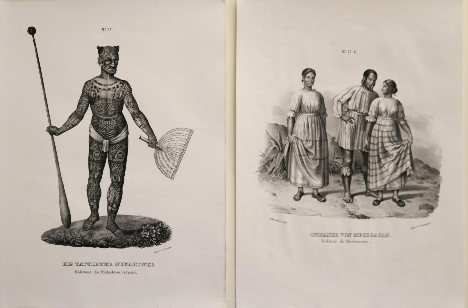 Two Lithographic Plates from Heinrich Rudolf Schinz's "Naturgeschichte des Menschen," Z?rich, J. (1 of 17)