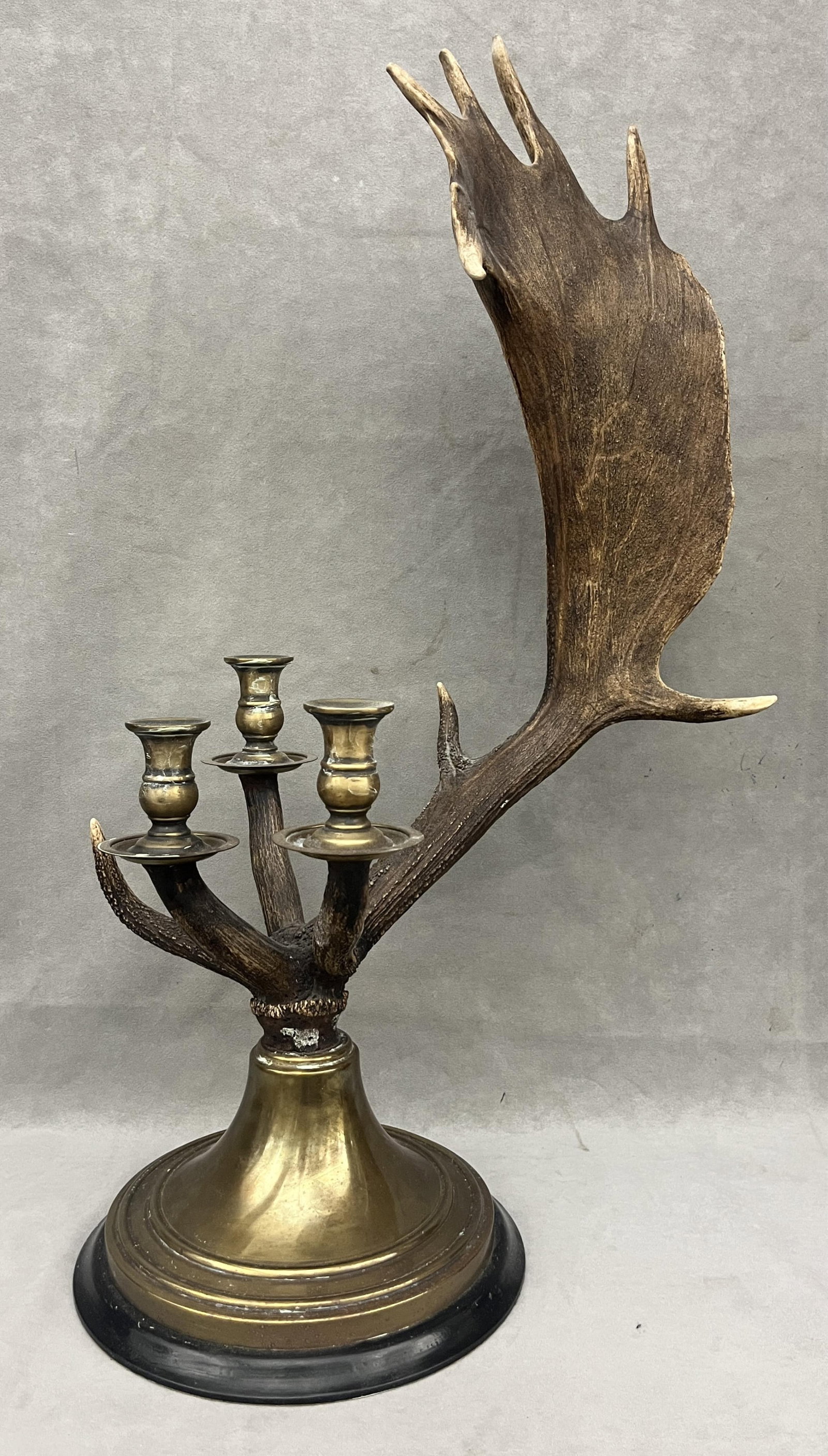 MOOSE ANTLER MOUNTED AS BRASS THREE-LIGHT CANDELABRUM late 19th century - H: 29 1/2 inches. (1 of 9)