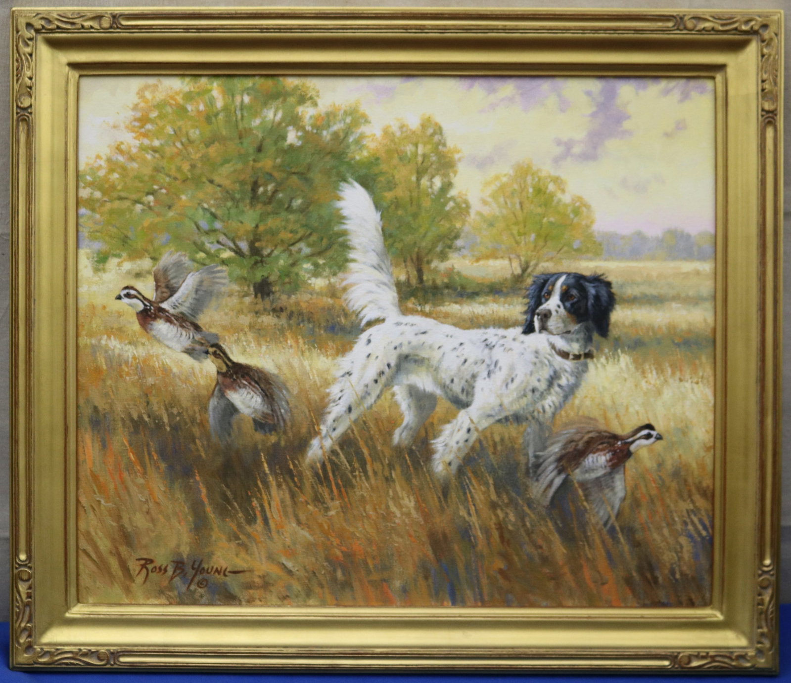 ROSS B YOUNG (American, born 1955). Against the Wind, Oil on canvas: ROSS B YOUNG American, born 1955 Against the Wind Oil on canvas Sporting oil painting depicting a black, white, and tan setter on point in a golden autumn field, as a covey of bobwhite quail bursts in