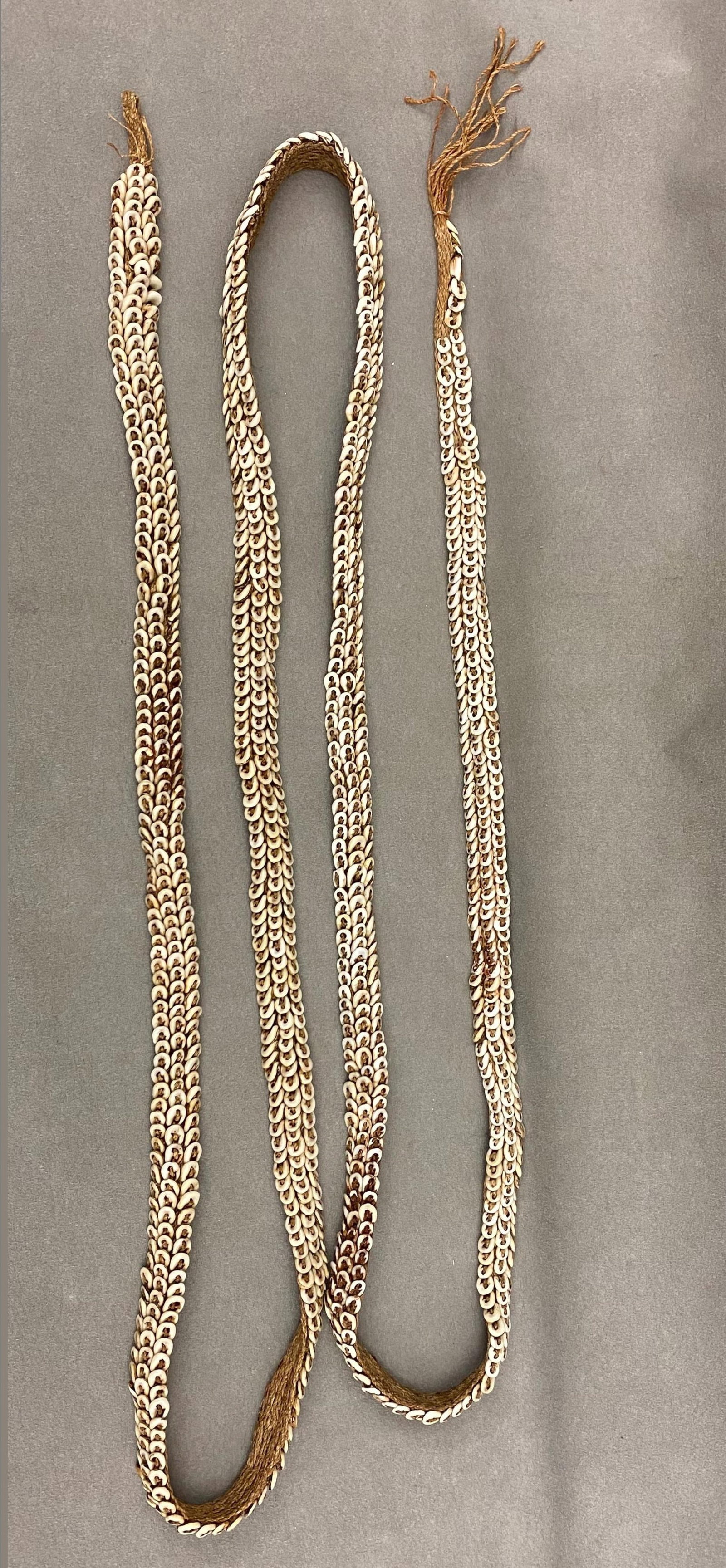 Papua New Guinea Kwoma people, Washkuk Hills, Bride Price Belt mid-1970s - lenght: 210 cm; 2 cm (1 of 13)