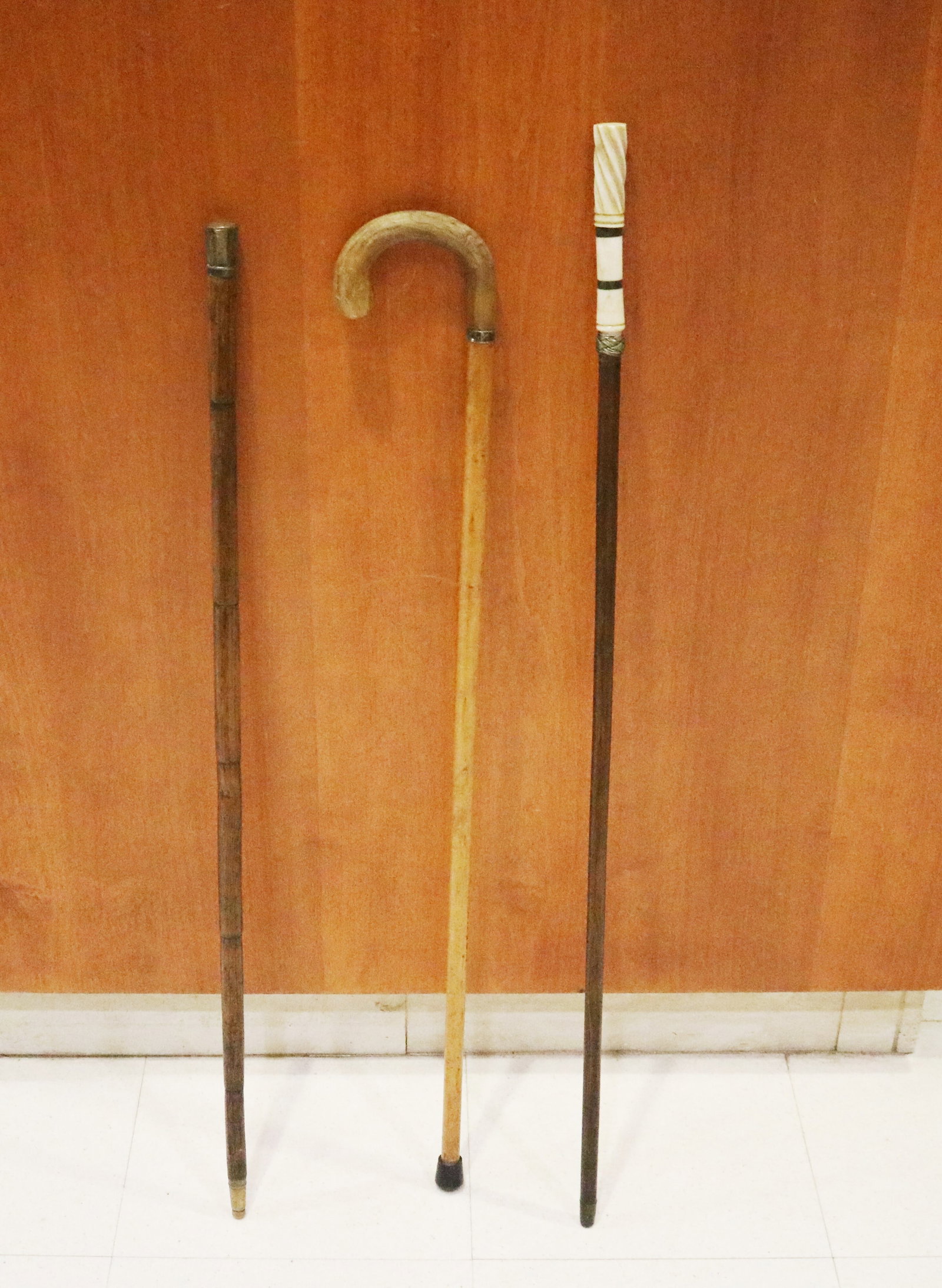 THREE ANTIQUE WALKING STICKS - . (1 of 3)