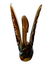 Hand Blown Art Glass Swan - 3
