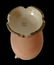 Lot of 3 Antique Porcelain Vessels - Japanese, Warwick - 8