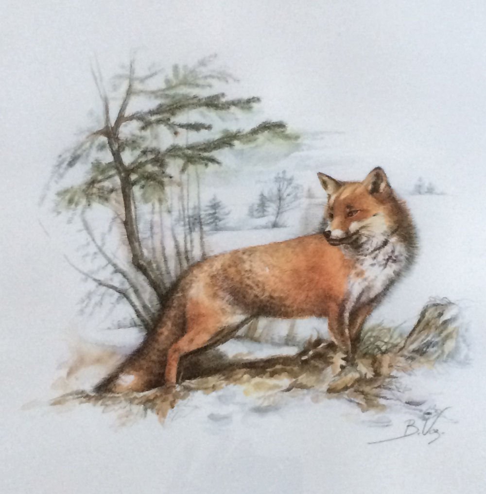 B. VOZ Watercolor & Ink Fox Litho (1 of 4)