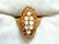 5.00ct Natural Amethyst Seed Pearl Gypsy 14kt Ring