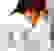 item-101958863=6
