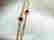 item-107990928=4