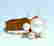 item-107991459=1