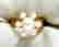 item-107991459=4