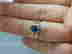 item-114327740=5