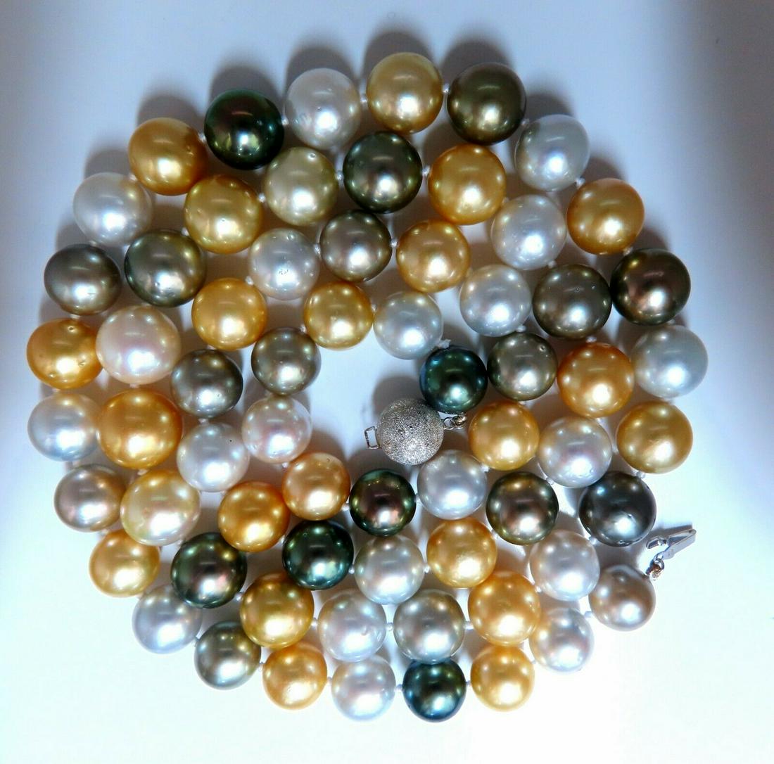 Najarda pearls 2024