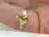 item-131462519=4