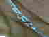 item-131462560=7
