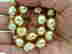 item-131462590=2