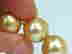 item-131462592=9